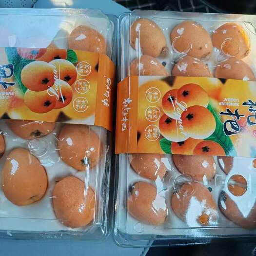 德昌县凉山德昌  大五星枇杷  早中