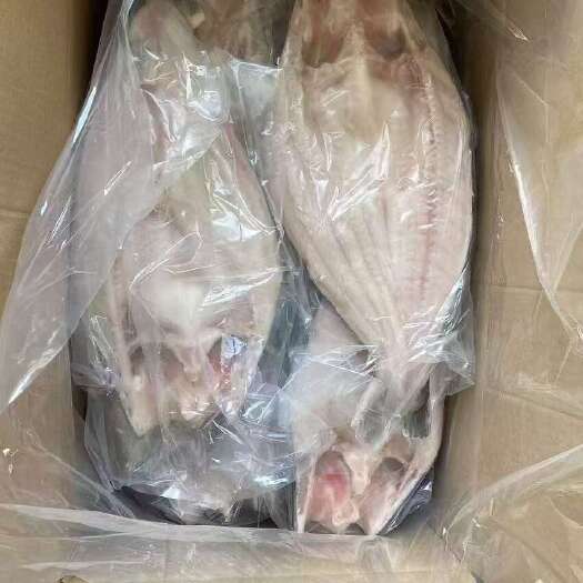 郑州干冰巴沙