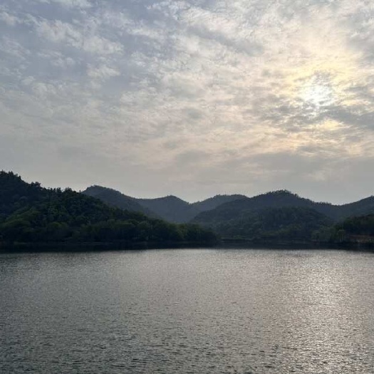 运行测试