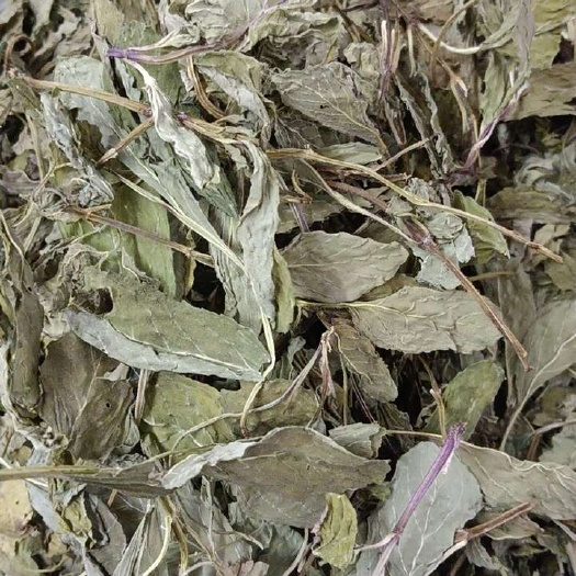 成都薄荷叶茶