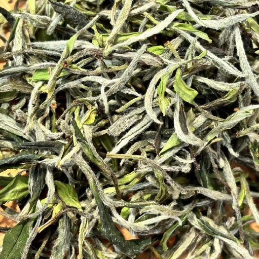 老树牡丹王花香水甜
