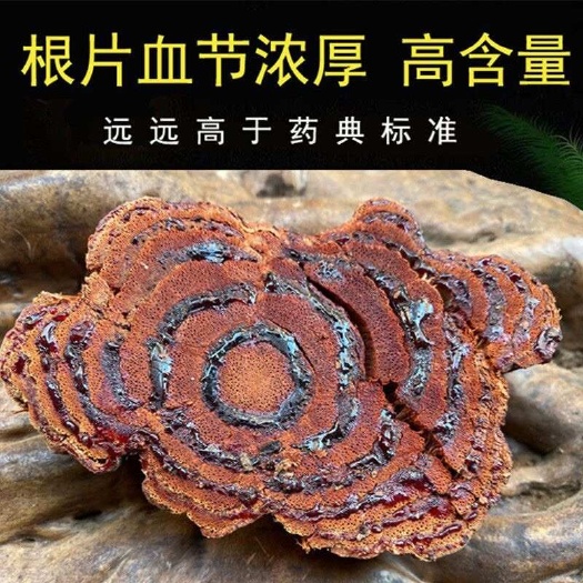 文山市云南网红鸡血藤百年老藤特大片厚度两公分（支持一件代发 ）