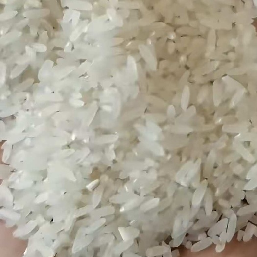 黄花粘新米，晚稻，颗粒饱满，油性十足，自有两千亩农田，自产自
