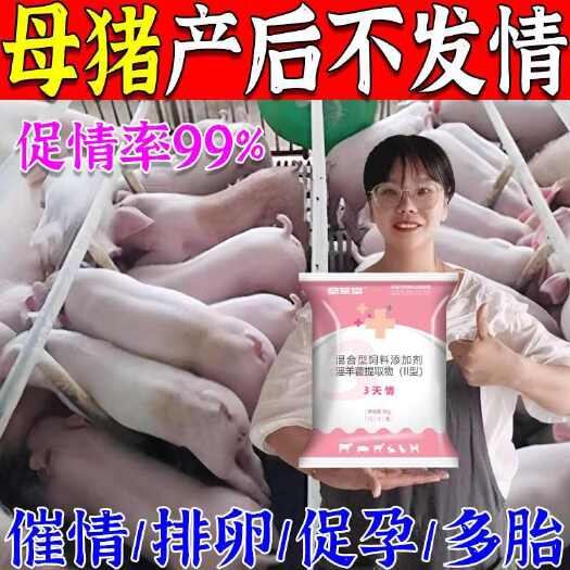 三天情猪牛羊配种多胎素母畜康促情剂促孕排卵增加产仔