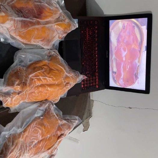 乳猪半成品，出餐快，效率高，味美鲜美