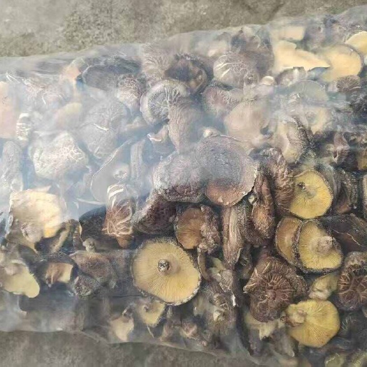 甘肃康县椴木干香菇 品质优货源足 现货供应