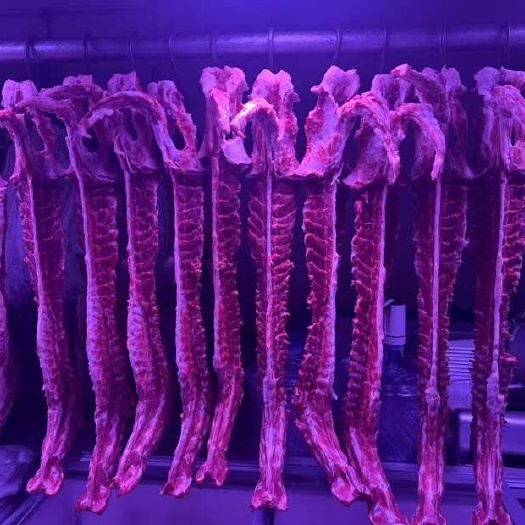 鲜冻羊排羊蝎子便宜出量大从优