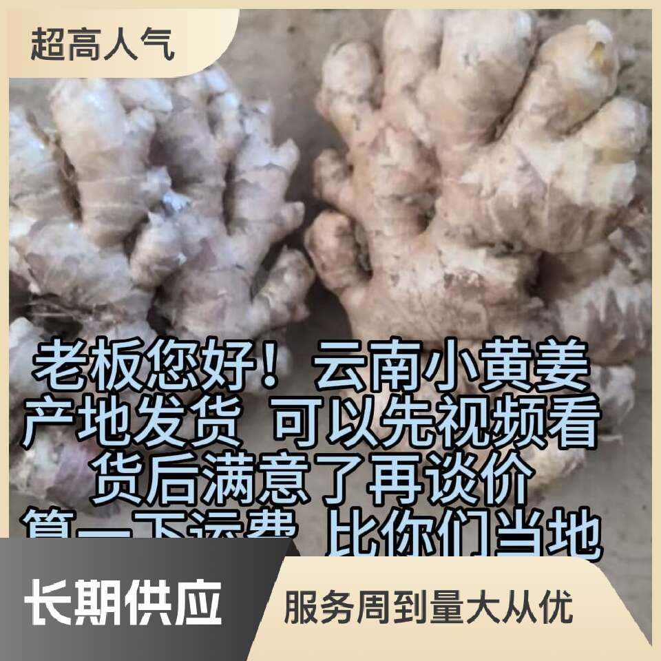 云南小黄姜生姜产地直供代购代发
专为各地老板提供远程采购服务