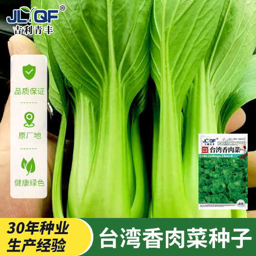 河间市香肉菜种子肉肉菜种子耐寒耐热速生营养春秋四季青菜蔬菜种子