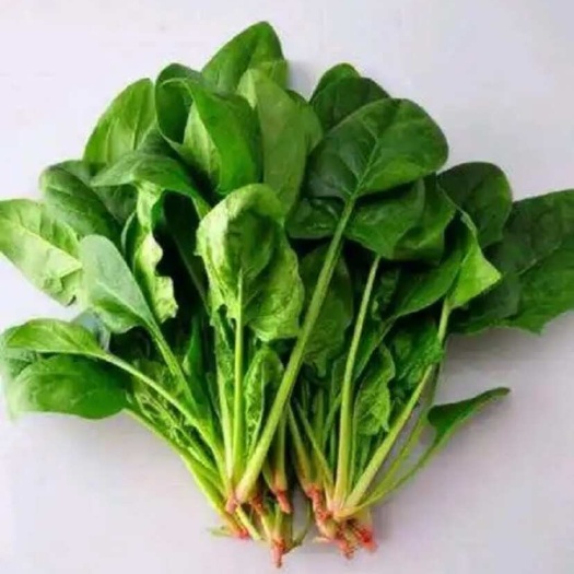徐州菠菜，量大，精品货，电商