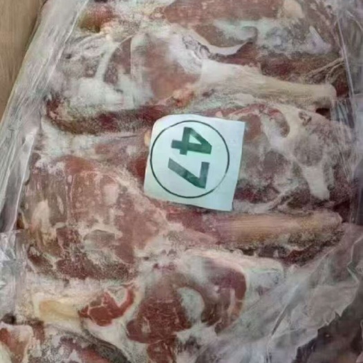 郑州国产47龟腱好箱好货，
