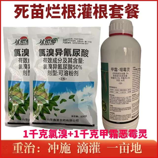 甲霜恶霉灵氯溴异氰尿酸番茄青枯病溃疡病草莓根腐病枯萎病农药