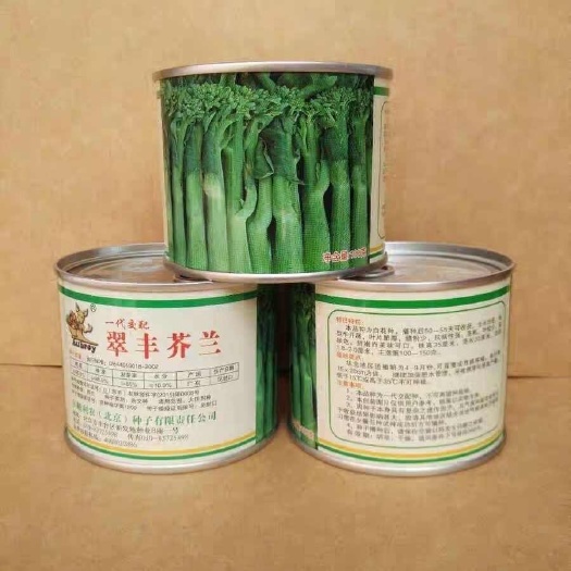 包邮翠丰芥兰种子100克原装菜场专用杂交中花芥兰优良种子
