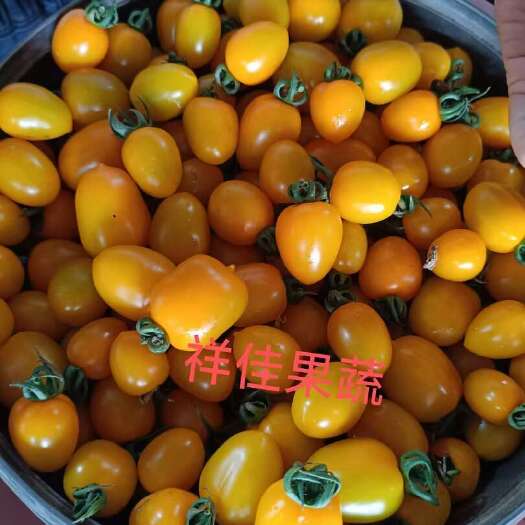 寿光市山东寿光新鲜圣女果批发 优质水果浆果类当天发货