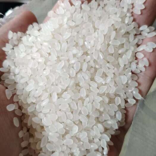 庆安县东北黑土地 珍珠米，长粒香等优质大米