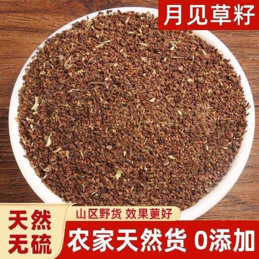 永城市月见草籽   月见草  可做精油可泡茶也可种植