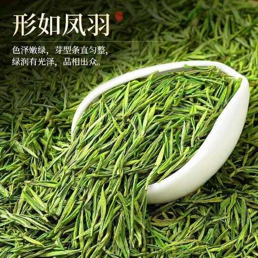 福安市安吉白茶2025新茶明前珍稀春茶500克嫩芽茶