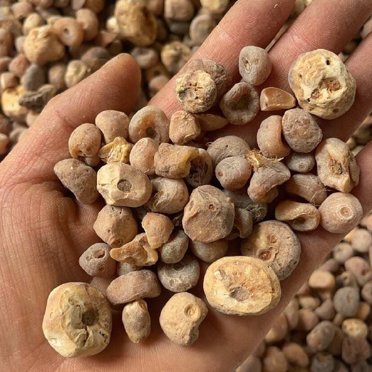 昆明云南山慈菇批发