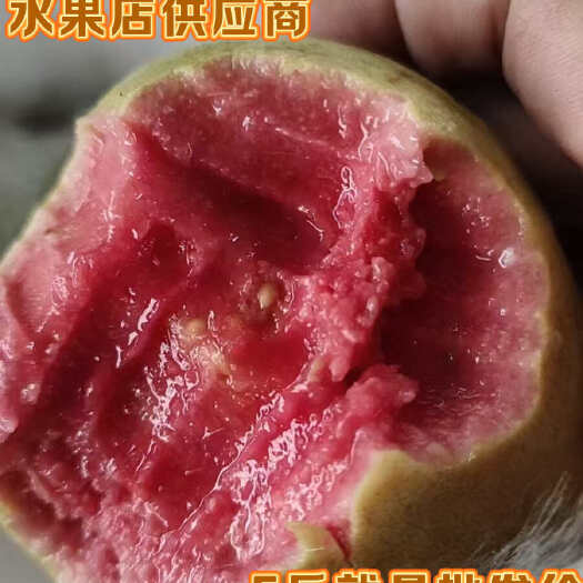 漳州福建漳州长泰县芭乐果园直发一件代发
