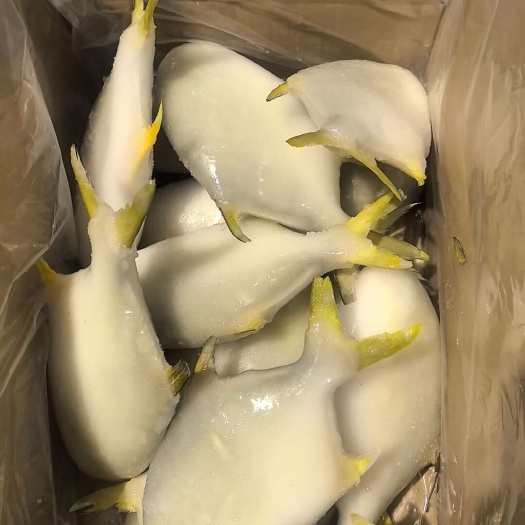 湛江湛江源头厂家直供，金鲳鱼批发，欢迎咨询合作