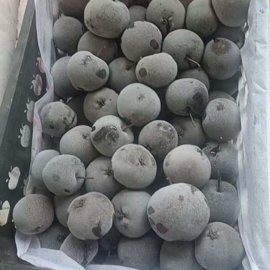 青龙县河北秦皇岛青龙县新鲜酥梨产地直发当季梨果批发零售