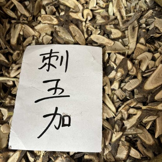 安国市<刺五加>刺五加 刺五加根 多种规格