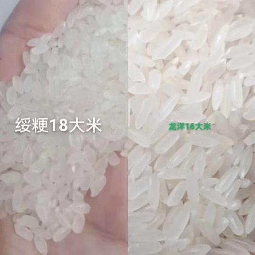 扎兰屯市黑龙江大米