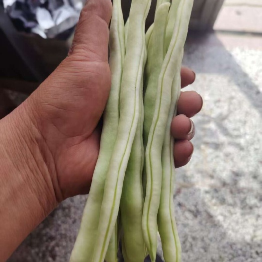 今年刚上市的白豆，有需要的客户请联系。