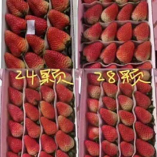 云南夏草莓