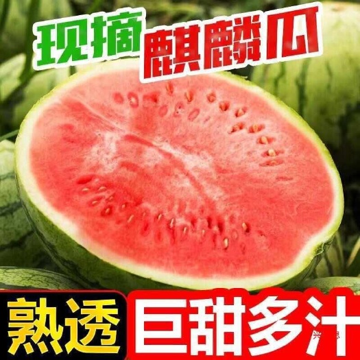 无籽甜王超市、市场批发