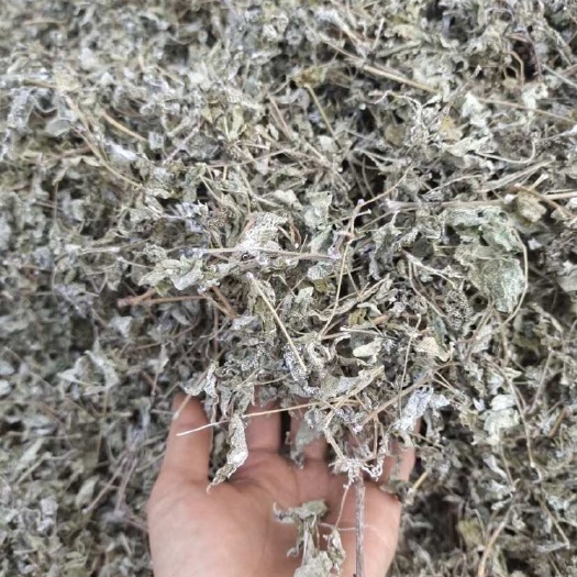 广西莓茶散装今年新茶藤茶食品经营许可证发货、可一件代发电商