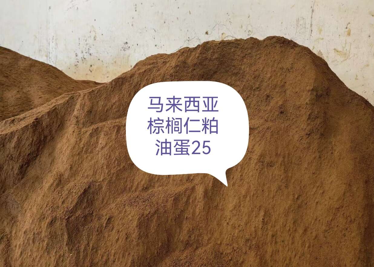 棕榈仁粕