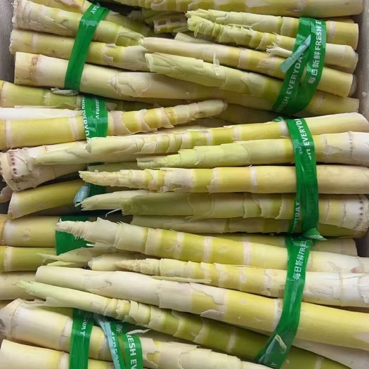 新鲜小笋肉 优质根茎蔬菜 竹笋类食材