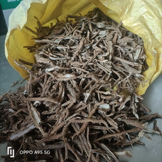 渭南原产于秦岭地骨皮