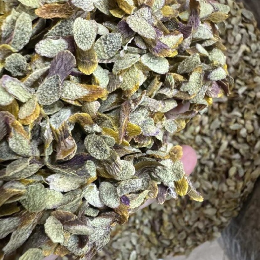 无硫铁皮石斛片养生茶产地一手货源