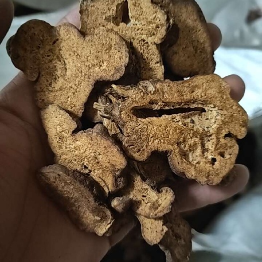 中药材白术片炒白术无硫白术片白术个子白术根