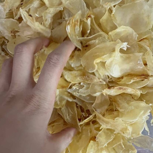 鱼胶 小鱼胶 鸡蛋胶 滋补养生 妇女之友大量现货