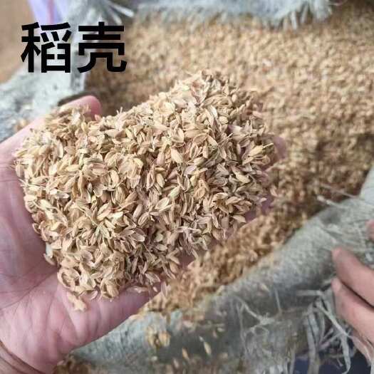 唐山稻壳 用途广泛适用于种植.养殖.宠物垫料.酿酒.酿醋