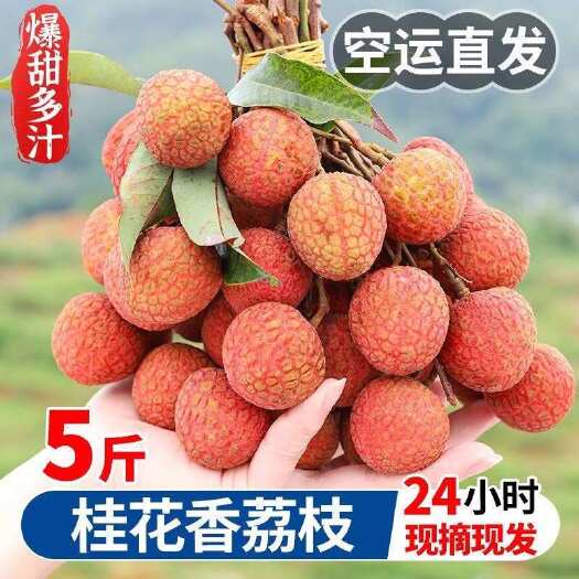 海口桂味