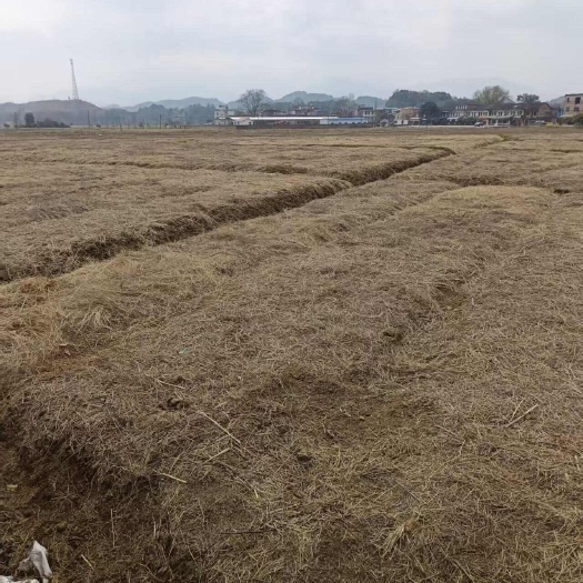 衡阳湖南衡阳地区  旱地村集体资源出租