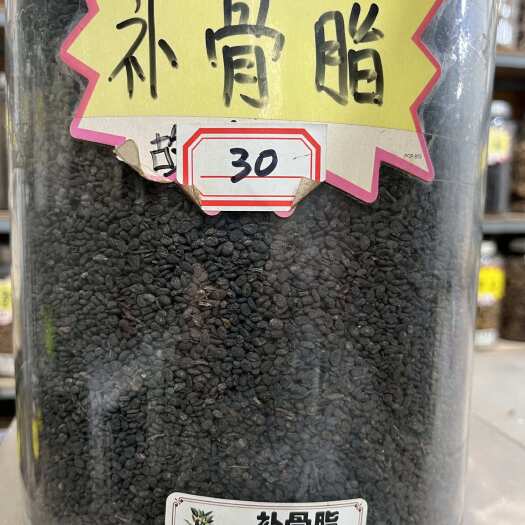 佛山补骨脂