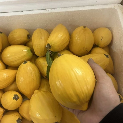 蛋黄果