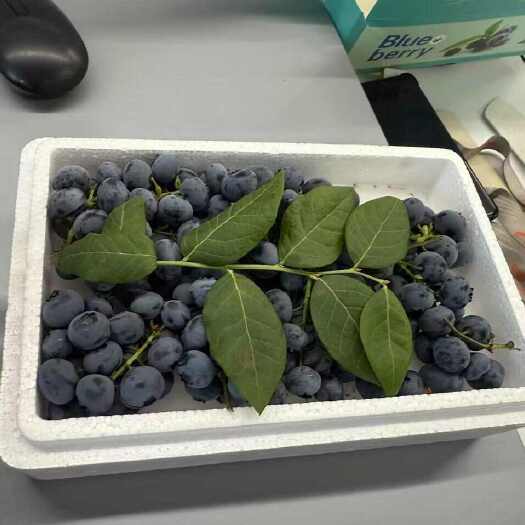 上海鲜串蓝莓