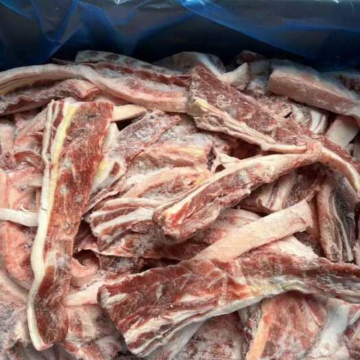 河间市羊筋 羔羊羽骨 羊排筋 羔羊羽骨排 有肉有筋 货优价低