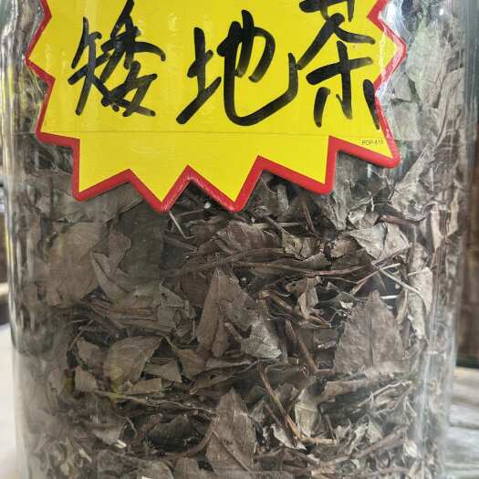 佛山矮地茶，平地木中药材全草类药材批发零售