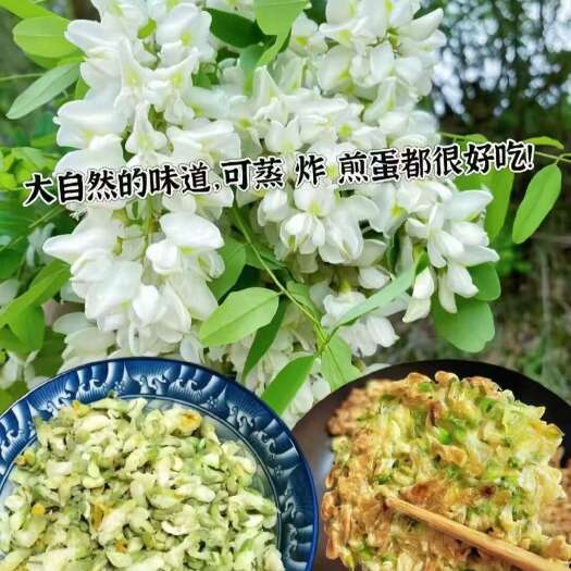 临朐县我们山东沂蒙山区鲜槐花下来了欢迎，洋槐花
