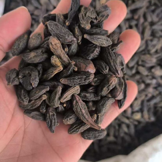 青果 西青果 无硫 质量保证 假一赔十 批发零售 各种中药材
