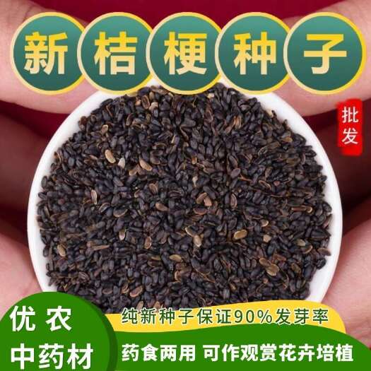 安国市桔梗种子 纯新 产地直发 包发芽率