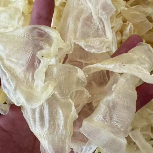 广州鱼胶花胶 小白花胶一手货源厂家直销全国发货