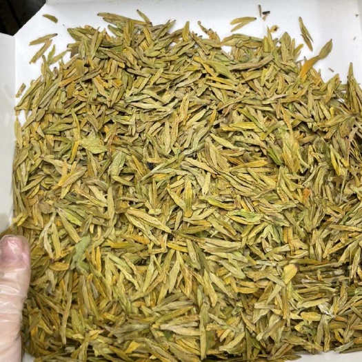 求货源的来，茶叶批发，黄金芽龙井批发龙型黄金芽是非常具有特